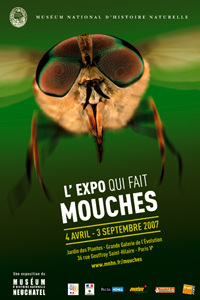 Mouches - L'expo qui fait mouche !