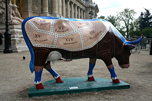 Vache - Avenue Montaigne 